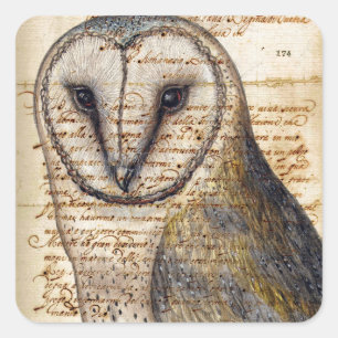 Barn Owl Vierkante Sticker