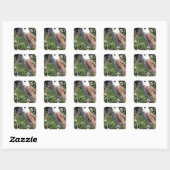 Barn Owl Vierkante Sticker (Vel)