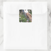 Barn Owl Vierkante Sticker (Tas)