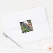 Barn Owl Vierkante Sticker (Envelop)