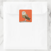 Barn Owl Vierkante Sticker (Tas)