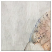 Barn Owl voor Rena Stof (Close Up)
