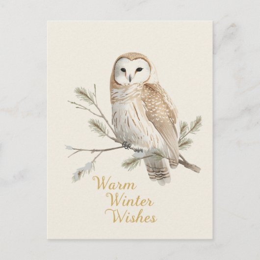 Barn Owl Warm Winter Wishes Watercolor Feestdagenkaart (Voorkant)