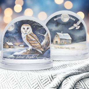 Barn Owl Waterverf Silent Night Snow Wereldbol Sneeuwbol