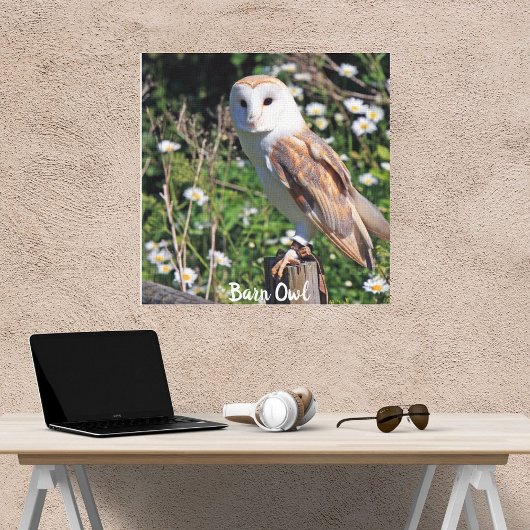 Barn Owl White Face Stretted Canvas Print