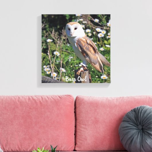 Barn Owl White Face Stretted Canvas Print (Insitu (Woonkamer))