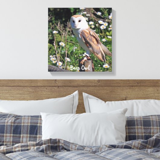 Barn Owl White Face Stretted Canvas Print (Insitu (Slaapkamer))