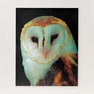 Barn Owls - Birds of Prey. Legpuzzel