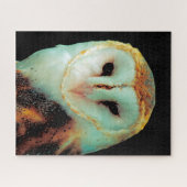 Barn Owls - Birds of Prey. Legpuzzel (Horizontaal)