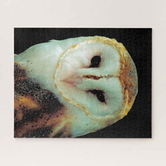 Barn Owls - Birds of Prey. Legpuzzel (Horizontaal)