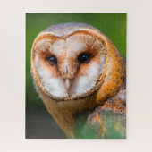 Barn Owls - Birds of Prey. Legpuzzel (Verticaal)