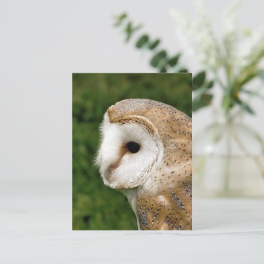 BARN OWLS BRIEFKAART (Staand voorkant)