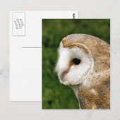 BARN OWLS BRIEFKAART (Voorkant / Achterkant)