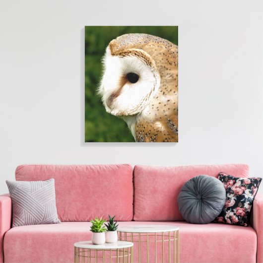BARN OWLS CANVAS AFDRUK (Insitu (Woonkamer))