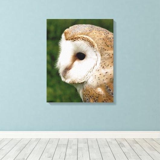 BARN OWLS CANVAS AFDRUK (Insitu (Houten vloer))