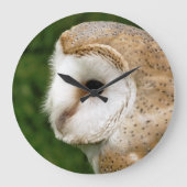 BARN OWLS GROTE KLOK (Voorkant)