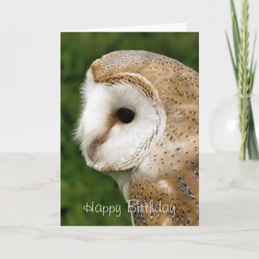 BARN OWLS KAART (Voorkant)