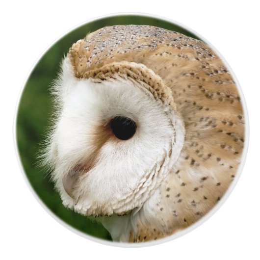 BARN OWLS KERAMISCHE KNOP (Voorkant)
