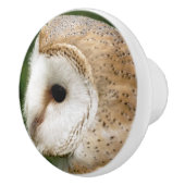 BARN OWLS KERAMISCHE KNOP (Rechts)
