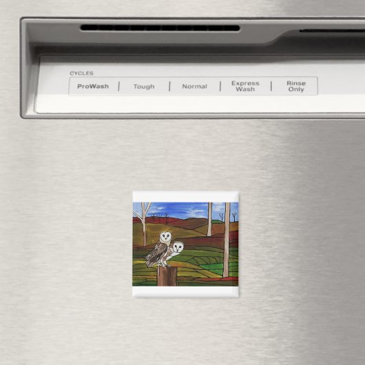 BARN OWLS MAGNEET (Insitu (Vaatwasser))