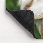 BARN OWLS MUISMAT (Hoek)