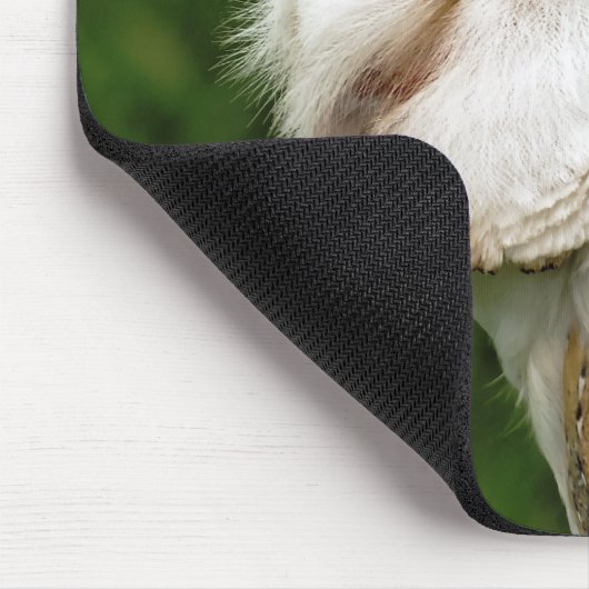 BARN OWLS MUISMAT (Hoek)