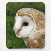 BARN OWLS MUISMAT (Voorkant)