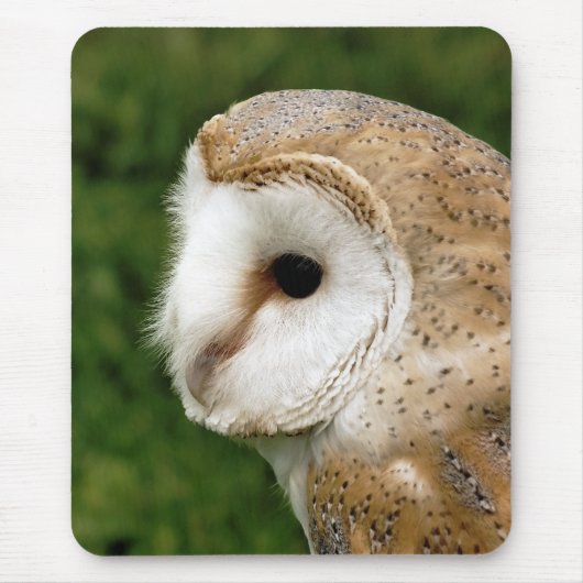 BARN OWLS MUISMAT (Voorkant)