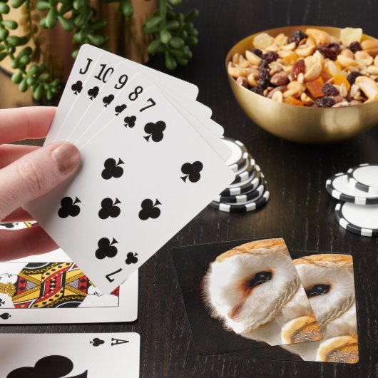 BARN OWLS POKERKAARTEN (Insitu)