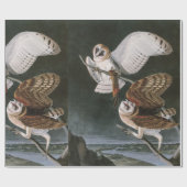 Barn Owls, the Birds of America John James Audubon Cadeaupapier (Vlak)