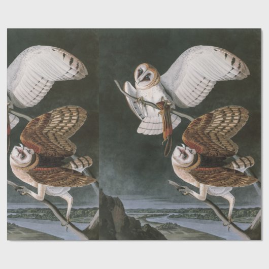 Barn Owls, the Birds of America John James Audubon Cadeaupapier (Vlak)