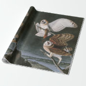 Barn Owls, the Birds of America John James Audubon Cadeaupapier (Uitgerold)