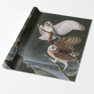 Barn Owls, the Birds of America John James Audubon Cadeaupapier