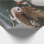 Barn Owls, the Birds of America John James Audubon Cadeaupapier (Hoek)