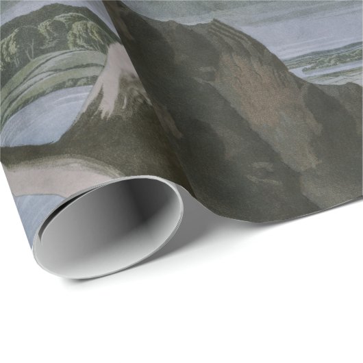 Barn Owls, the Birds of America John James Audubon Cadeaupapier (Rol Hoek)