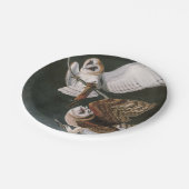 Barn Owls, the Birds of America John James Audubon Papieren Bordje (Gekanteld)