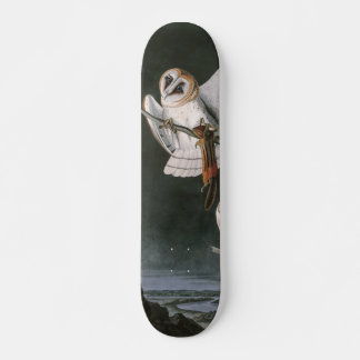 Barn Owls, the Birds of America John James Audubon Persoonlijk Skateboard
