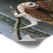 Barn Owls, the Birds of America John James Audubon Poster (Hoek)