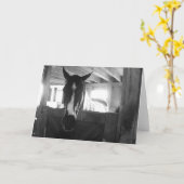 Barn-paard Kaart (Gele Bloem)