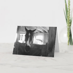 Barn-paard Kaart