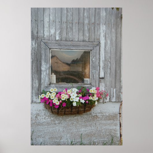 Barn Reflection Poster (Voorkant)