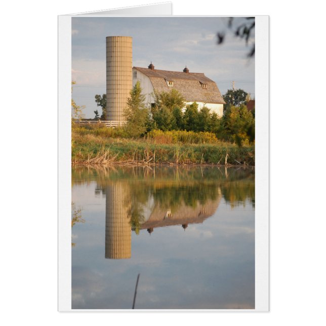 Barn Roos in het water (Voorkant)