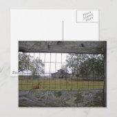 Barn scène briefkaart (Voorkant / Achterkant)