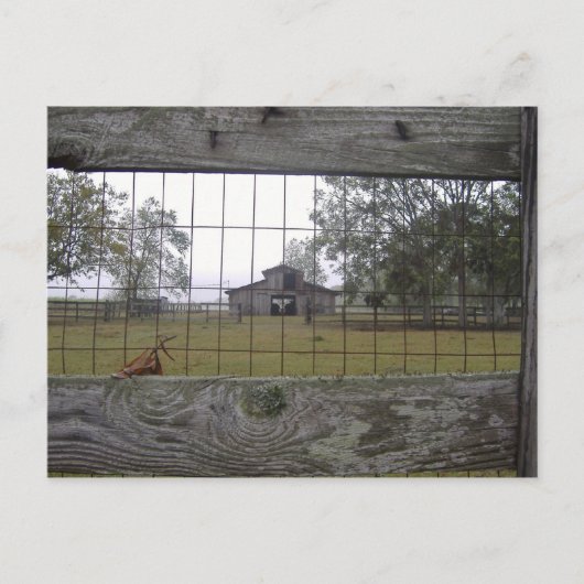 Barn scène briefkaart (Voorkant)