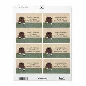 Barn Sheep Label (Full Sheet)