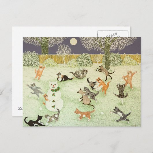 Barn Storming 2011 Briefkaart (Voorkant / Achterkant)