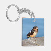Barn Swallow acrylkey chian Sleutelhanger (Voorkant Links)