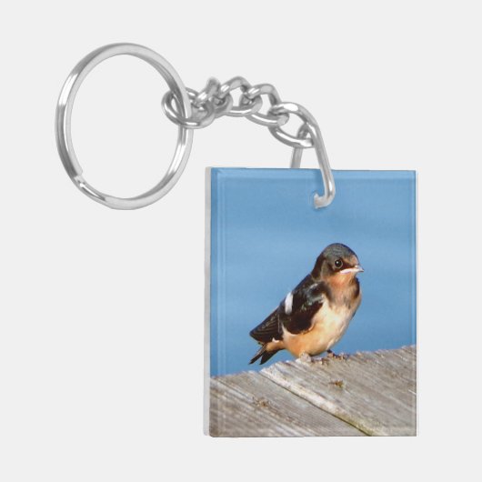Barn Swallow acrylkey chian Sleutelhanger (Voorkant Links)