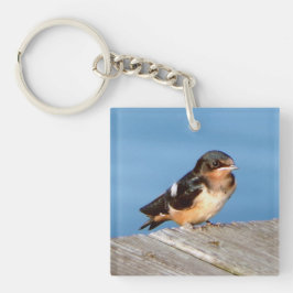 Barn Swallow acrylkey chian Sleutelhanger
