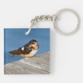 Barn Swallow acrylkey chian Sleutelhanger (Achterkant)